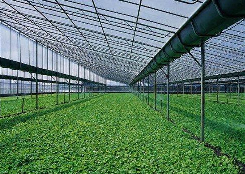 生態(tài)農(nóng)業(yè):有機(jī)肥制作方法